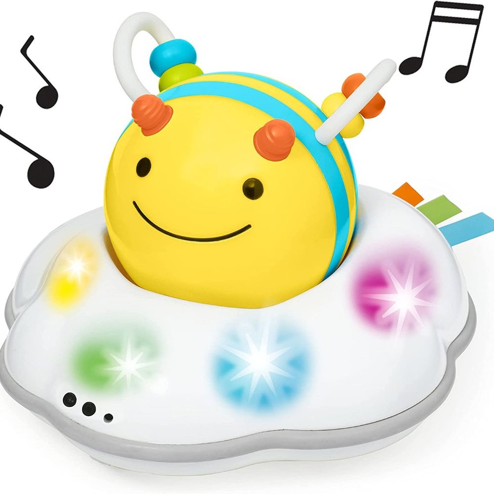 Skip Hop Developmental Learning Crawl Toy